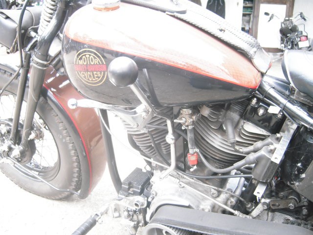 Griffe 04